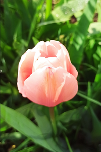 IMG_20230419_114146.webp