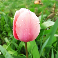 IMG_20230419_122503.webp