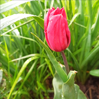 IMG_20230419_122616.webp