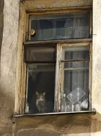20230414_144415.webp