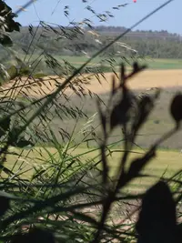 Screenshot_20230419-031949_Gallery.webp