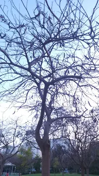 Screenshot_20230420-022956_Gallery.webp