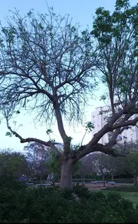Screenshot_20230407-134533_Gallery.webp