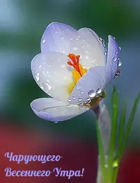 5741B365-A018-41FF-8AFC-E27AF9253102.webp
