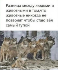 Screenshot_2023-04-20-10-37-27-46_68e74cc0265513bba3f4cf8e2c9891fe.webp