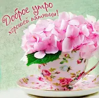 E6B22195-7402-4021-B5C1-F422A46DF4D4.webp