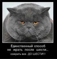 Screenshot_20230428-222400_Chrome.webp