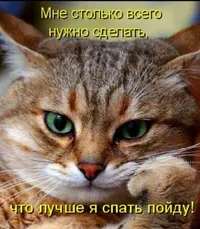 Screenshot_20230428-221610_Chrome.webp