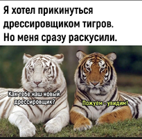 Screenshot_2023-04-26-09-21-01-23_68e74cc0265513bba3f4cf8e2c9891fe.webp