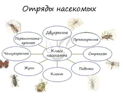 Screenshot_20230430-210145_Chrome.webp