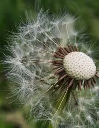 8901045_Gallery.webp
