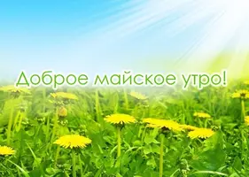 01681E31-9A08-47E2-8976-BFE6852BDF71.webp