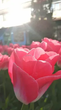 IMG_20230503_185012_712.webp
