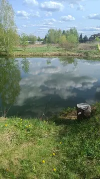 IMG20230504145438.webp
