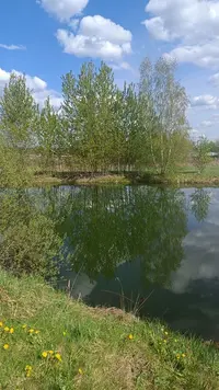 IMG20230504145448.webp
