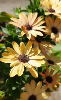 01.webp