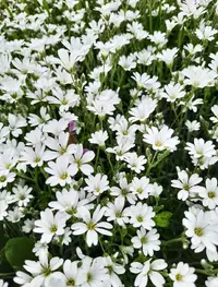 230347_Gallery.webp