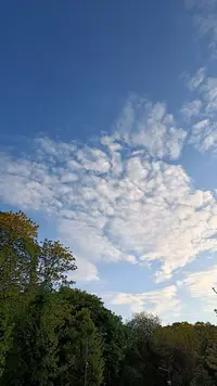 IMG20230506192700.webp