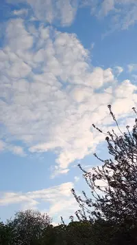IMG20230506192726.webp