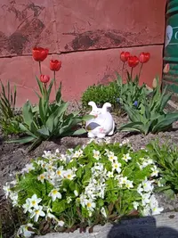 IMG_20230508_124703_1.webp
