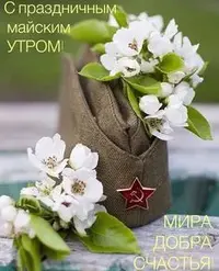 a4abf996dcac760a287b2243729e5e68.webp
