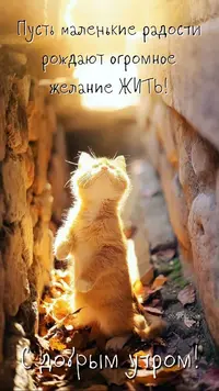 defef43a30dca22f07b58602127b0d16.webp