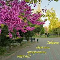 F2FD7450-ED8C-48DB-A455-9B896D491C59.webp