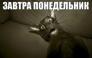 Screenshot_20230510-130701_Chrome.webp