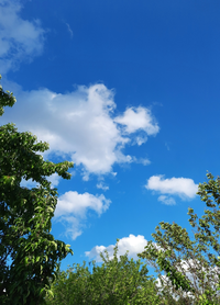 781553_Gallery.webp