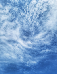35952_Gallery.webp