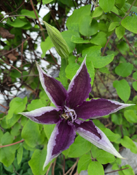 K102805_Gallery.webp