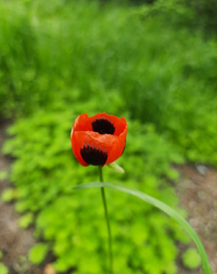 M348_Gallery.webp
