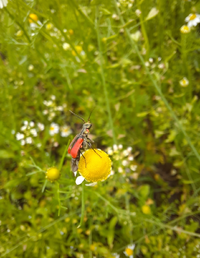 W04327_Gallery.webp