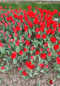 IMG_20230515_001533.webp