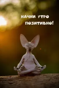 d5cbe6f24bd758ac14101dd6c181f0d7.webp
