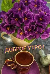 1EBF5551-0359-4DE6-86EA-498B9F0BBFD7.webp