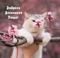 1C04DBF7-BBAD-4664-92C5-71B383AA33C0.webp