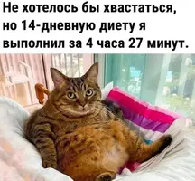 IMG_20230124_155315.webp