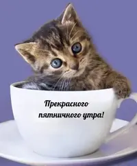 DCB10D6D-1721-4AFF-9878-75DC2FB9BB4D.webp