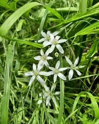 25325_Gallery.webp