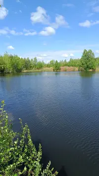 IMG20230520092717.webp