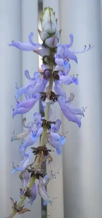Screenshot_20230520-175132_Gallery.webp