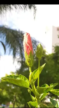 Screenshot_20230520-185654_Gallery.webp