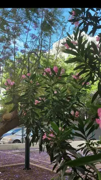 Screenshot_20230520-185719_Gallery.webp