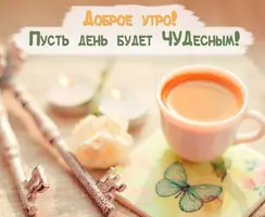 qydaz.webp