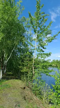 IMG20230520092759.webp