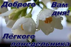 CB30C1EB-D066-4E95-B59B-C50270155A79.webp