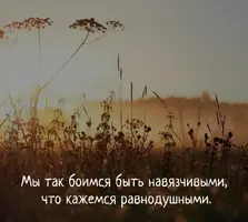 6930.webp