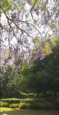 Screenshot_20230522-165024_LINE.webp