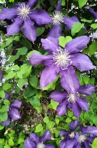 8795405_Gallery.webp